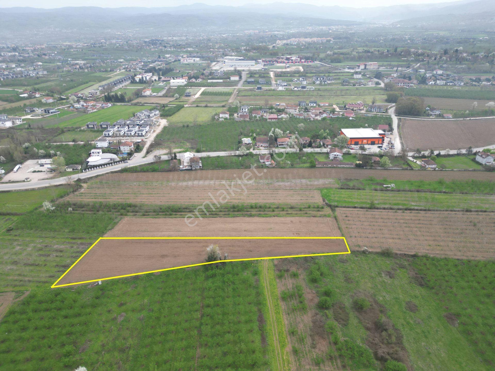 Nv Gayrimenkul'den Düzce Merkez Sinirci Köyü’nde Satılık Arazi - Görsel 18