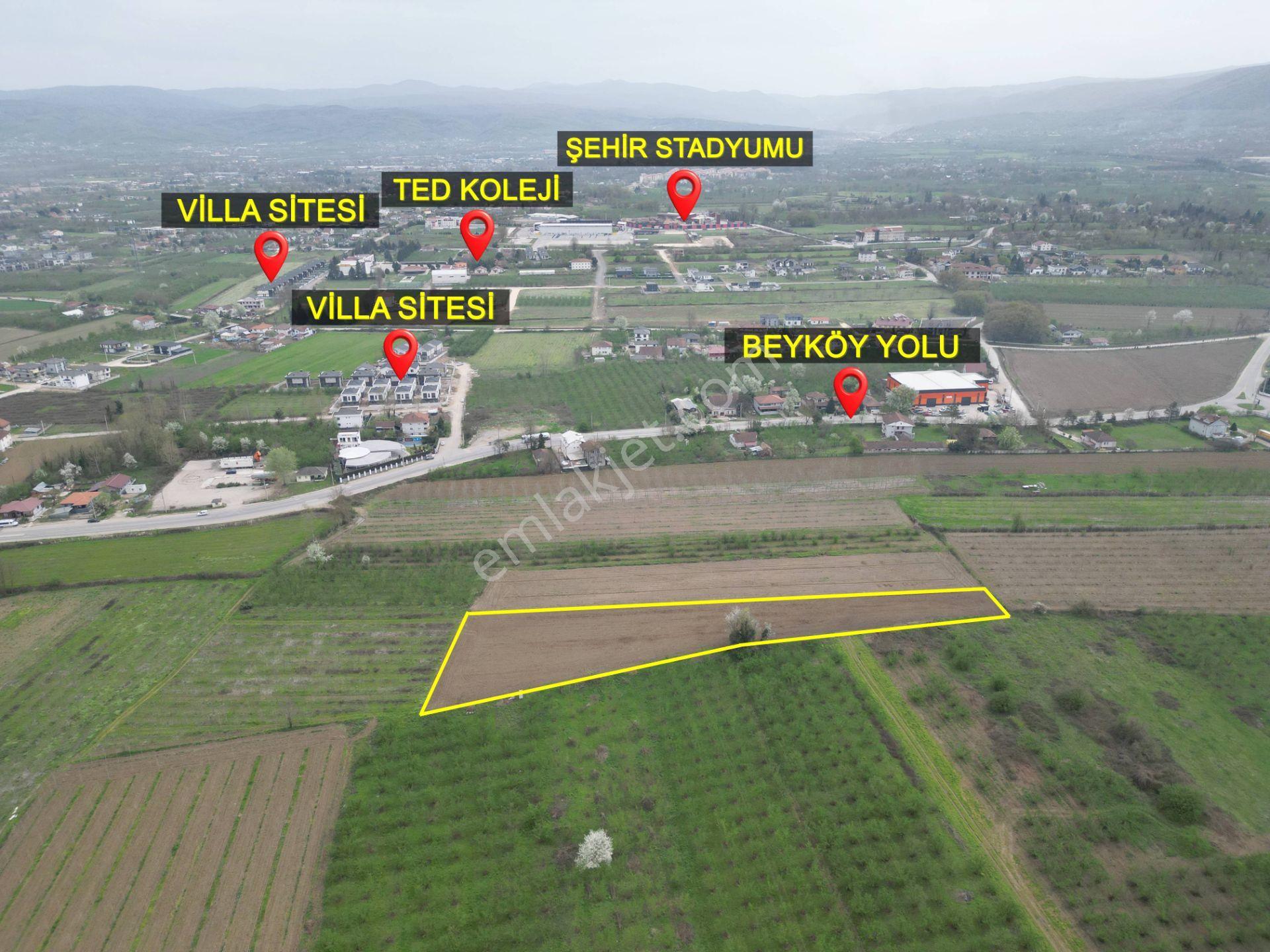 Nv Gayrimenkul'den Düzce Merkez Sinirci Köyü’nde Satılık Arazi - Görsel 3