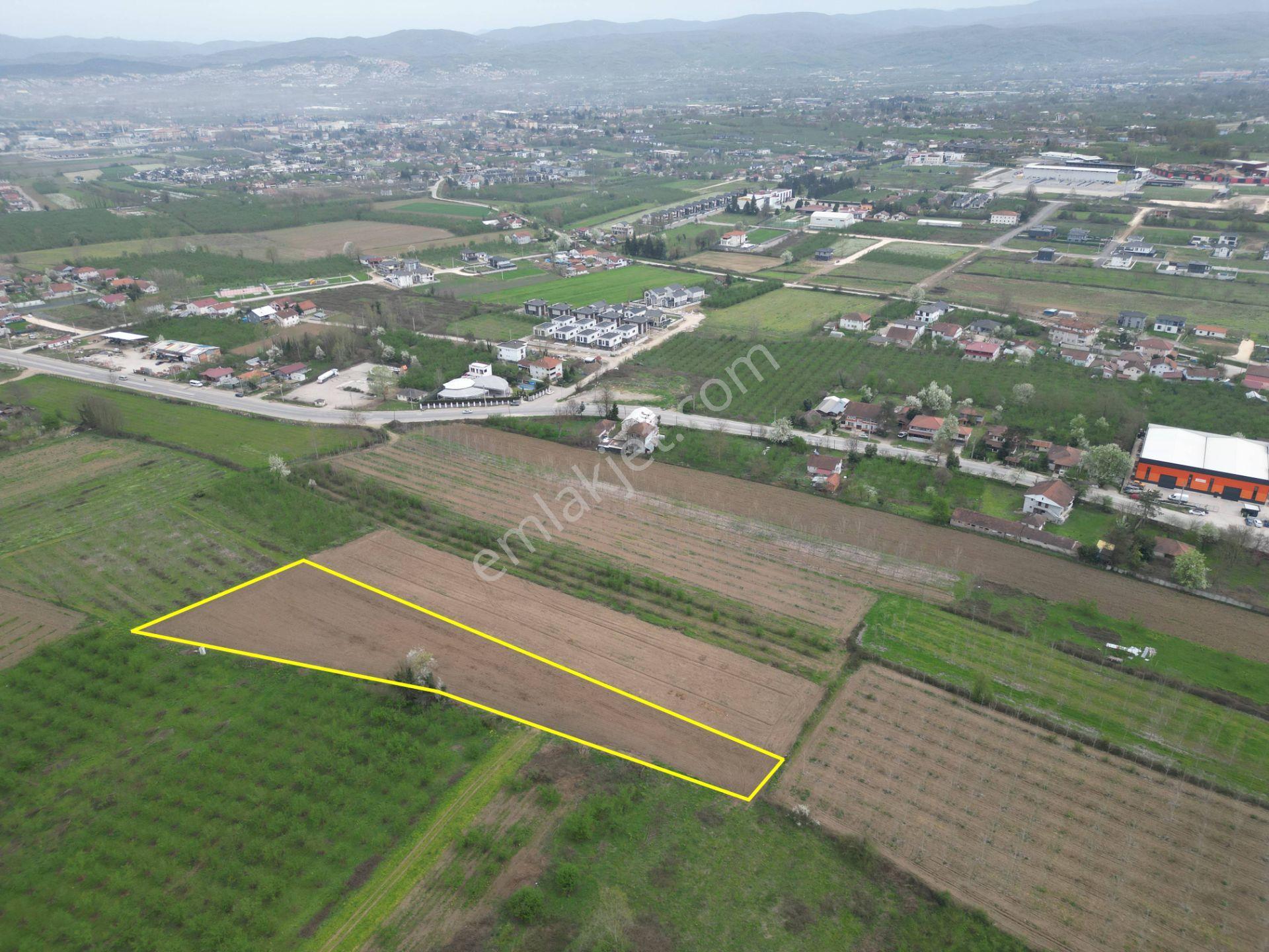 Nv Gayrimenkul'den Düzce Merkez Sinirci Köyü’nde Satılık Arazi - Görsel 2