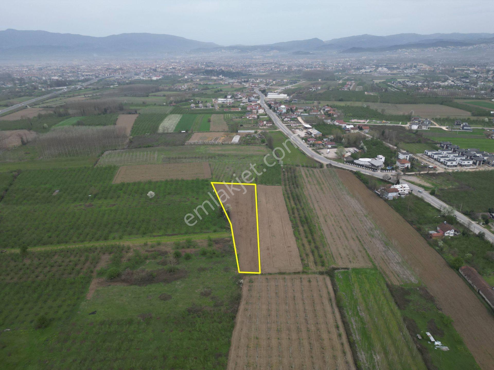 Nv Gayrimenkul'den Düzce Merkez Sinirci Köyü’nde Satılık Arazi - Görsel 7