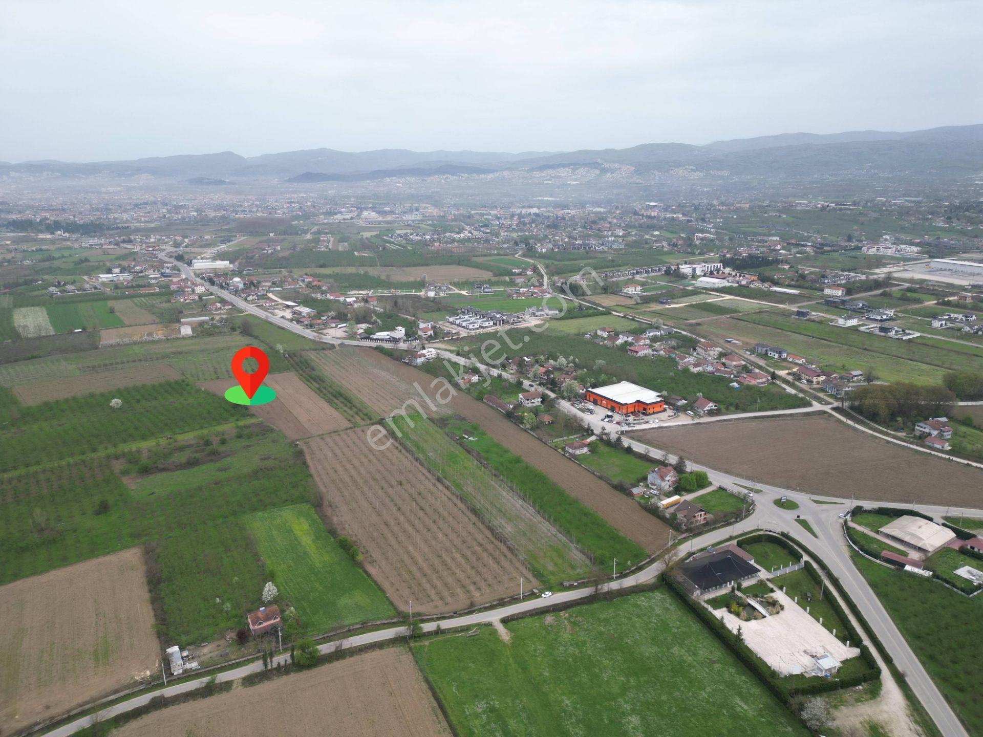 Nv Gayrimenkul'den Düzce Merkez Sinirci Köyü’nde Satılık Arazi - Görsel 6
