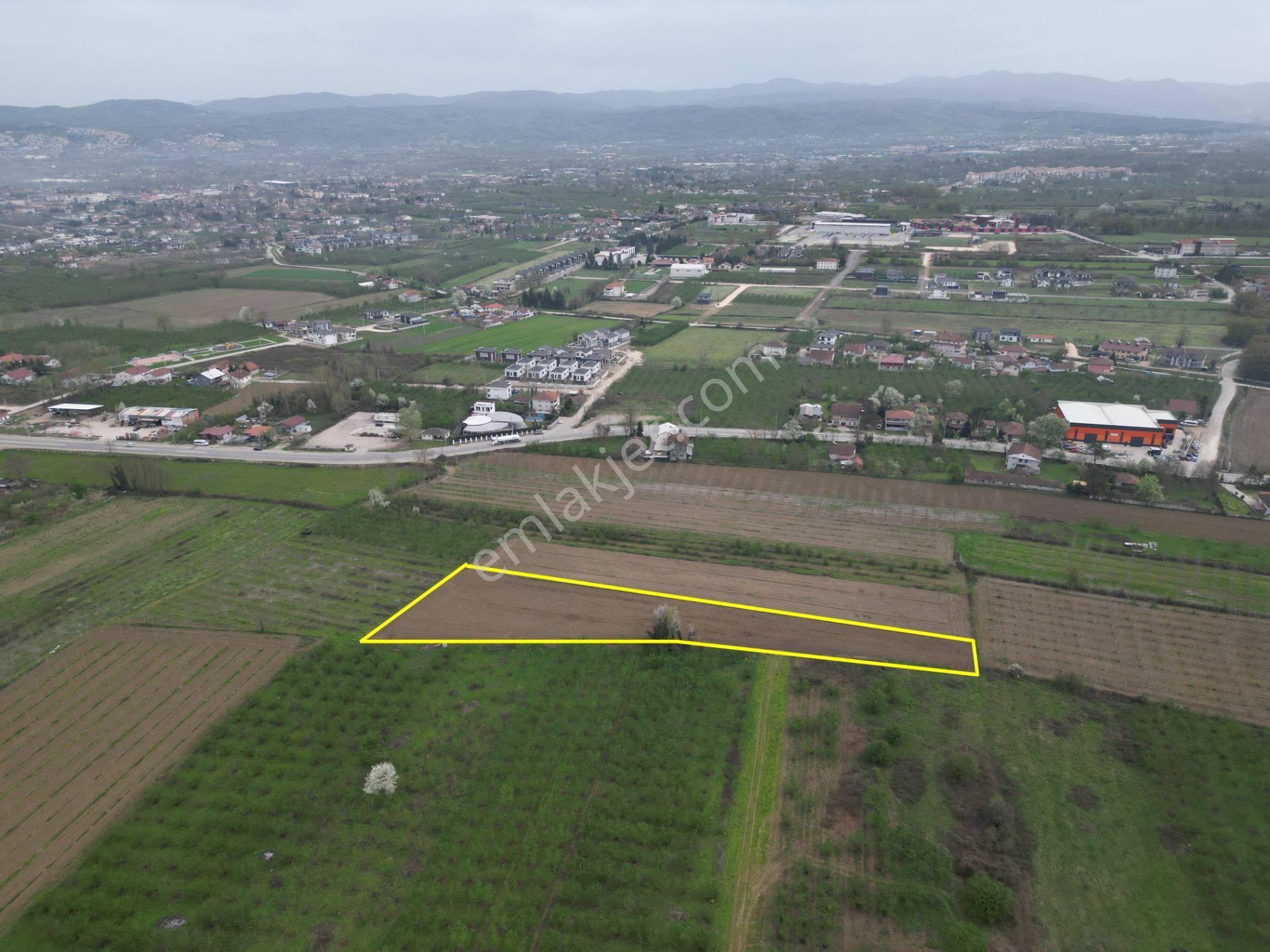 Nv Gayrimenkul'den Düzce Merkez Sinirci Köyü’nde Satılık Arazi - Görsel 24