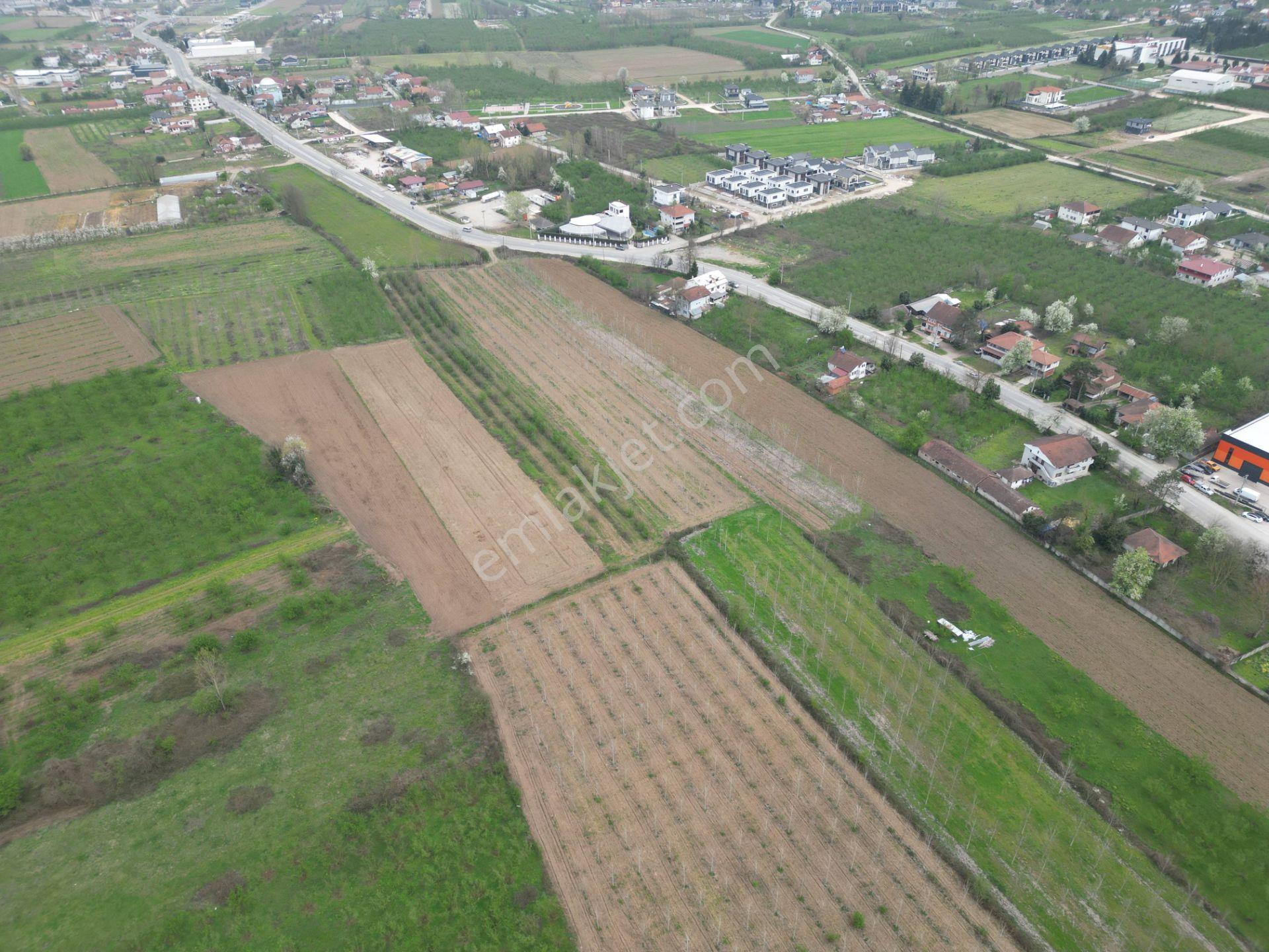 Nv Gayrimenkul'den Düzce Merkez Sinirci Köyü’nde Satılık Arazi - Görsel 16