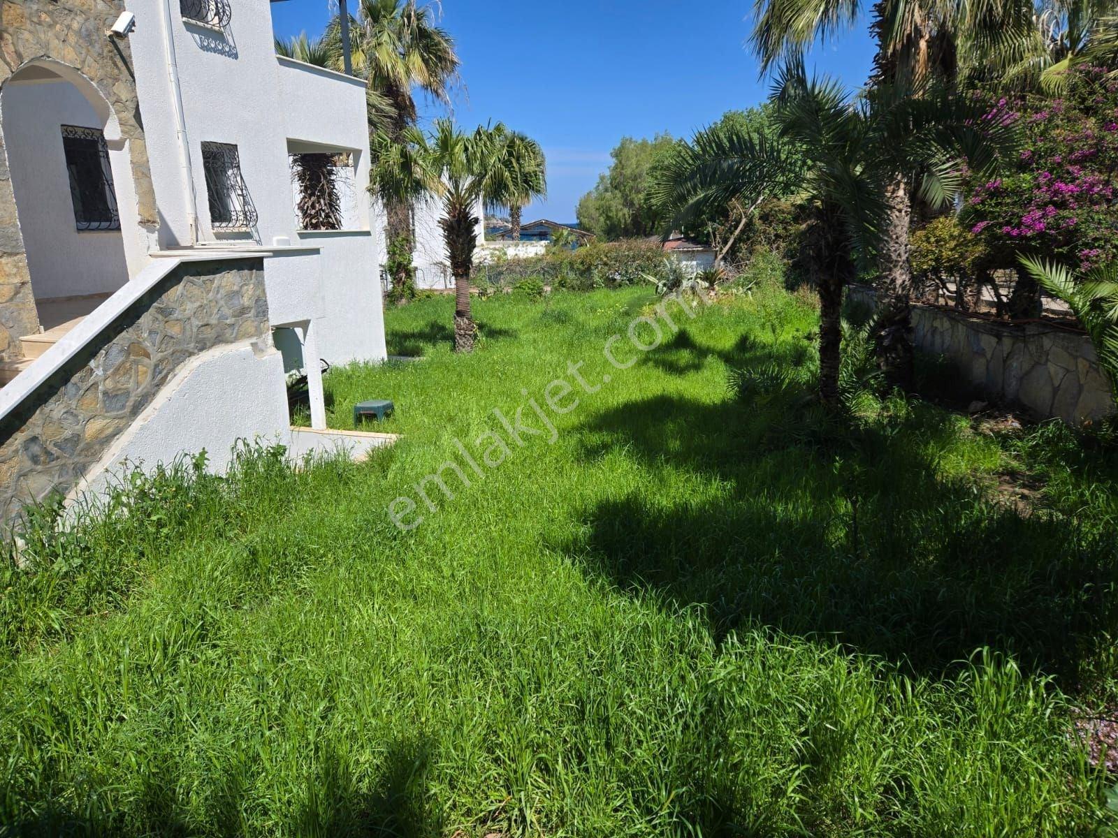 Bodrum Yalıkavak Tilkicik Koyunda Deniz Manzaralı - Görsel 6