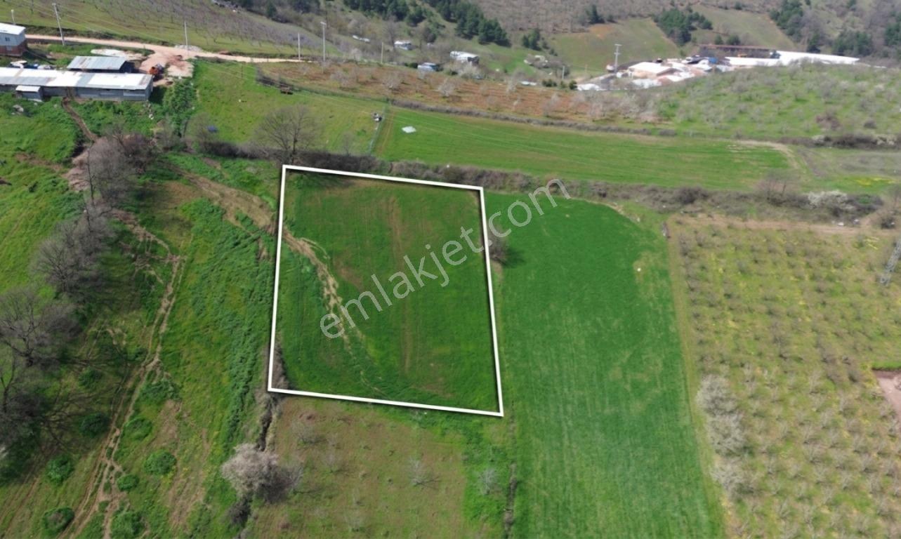 Megakent Gayrimenkulden Satılık Tek Tapu Tarla - Görsel 19