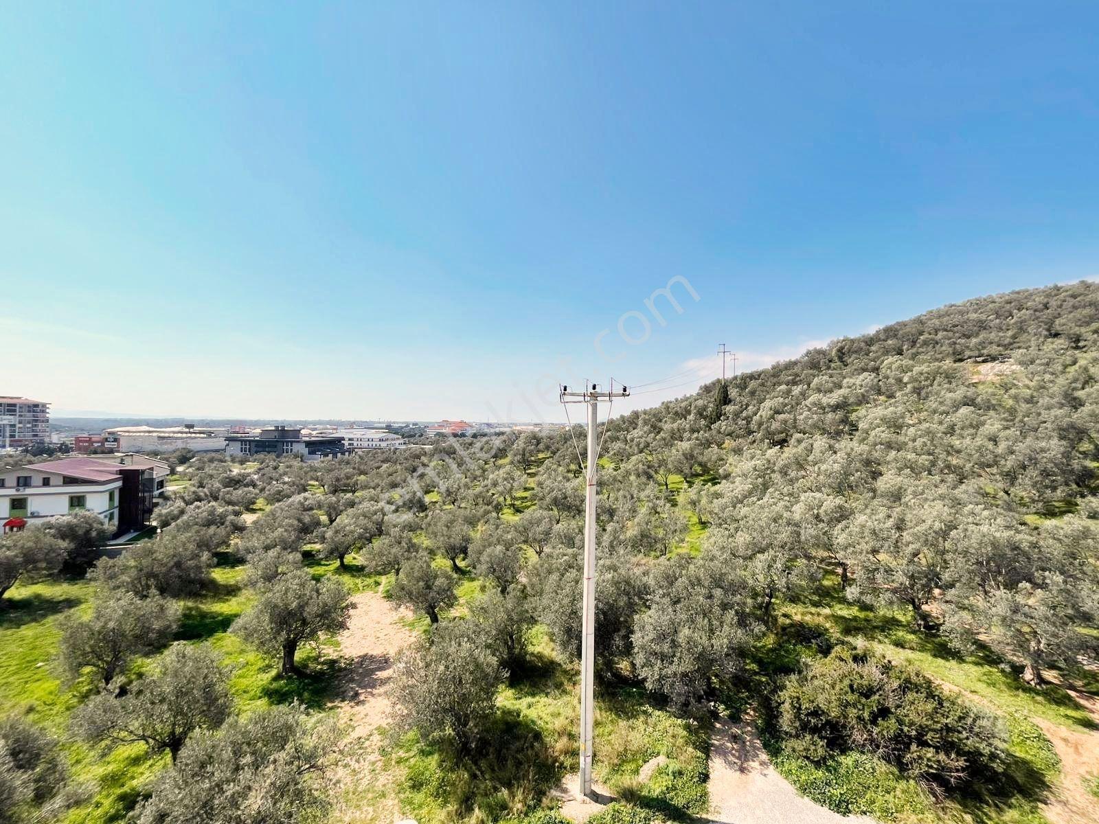 🏠🏠blue Life Egenden Gerçek İlan Doğa İle İç İçe Ön Cephe 3+1 Ayrı Mutfaklı Fırsat Daire - Görsel 35