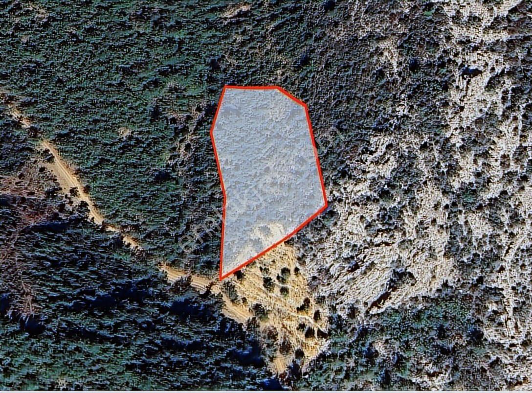 Güney Cephe, Ulaşımı Kolay Yatırımlık Fırsat Tarla - Görsel 6