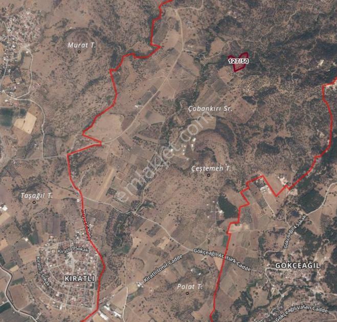 Turpa Arxesten Kıratlı Mahallesinde Hisseli Tarla Satılıktır. - Görsel 3