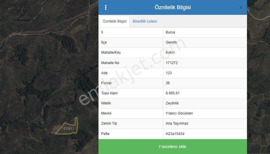 C21 Cius;katırlı'da Satılık 6695 M² Bakımlı Zeytinlik - Yatırım Fırsatı - Görsel 4