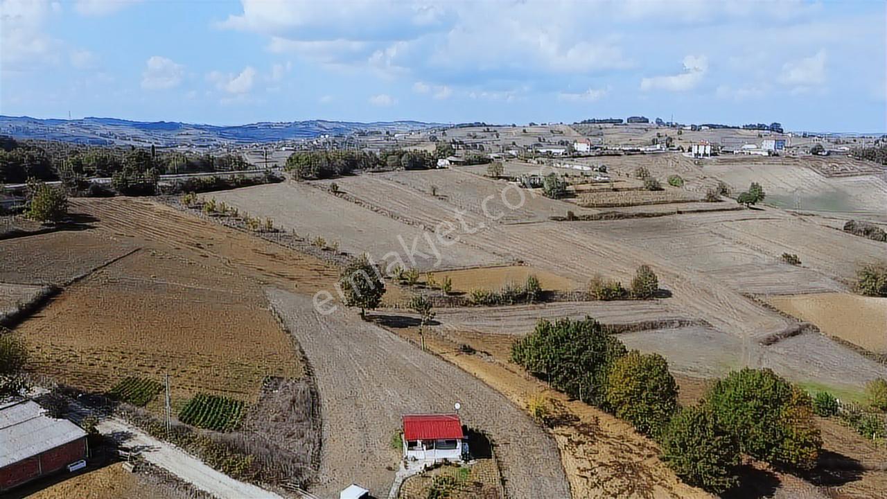 Kaynarca Eğrioğlunda %40 İmarlı, Resmi Yola Cepheli Fırsat Arsa! - Görsel 4