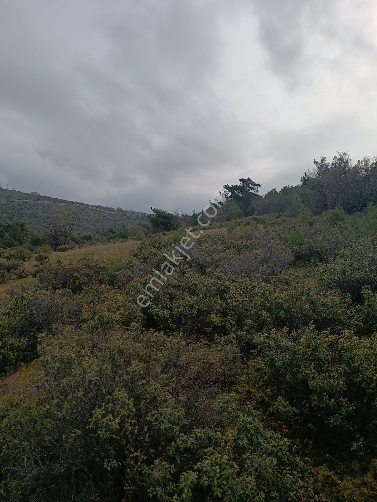 Küçükbelen Mah Satılık 4300m2 Tek Tapu Köye Yakın Boş Arazi - Görsel 20