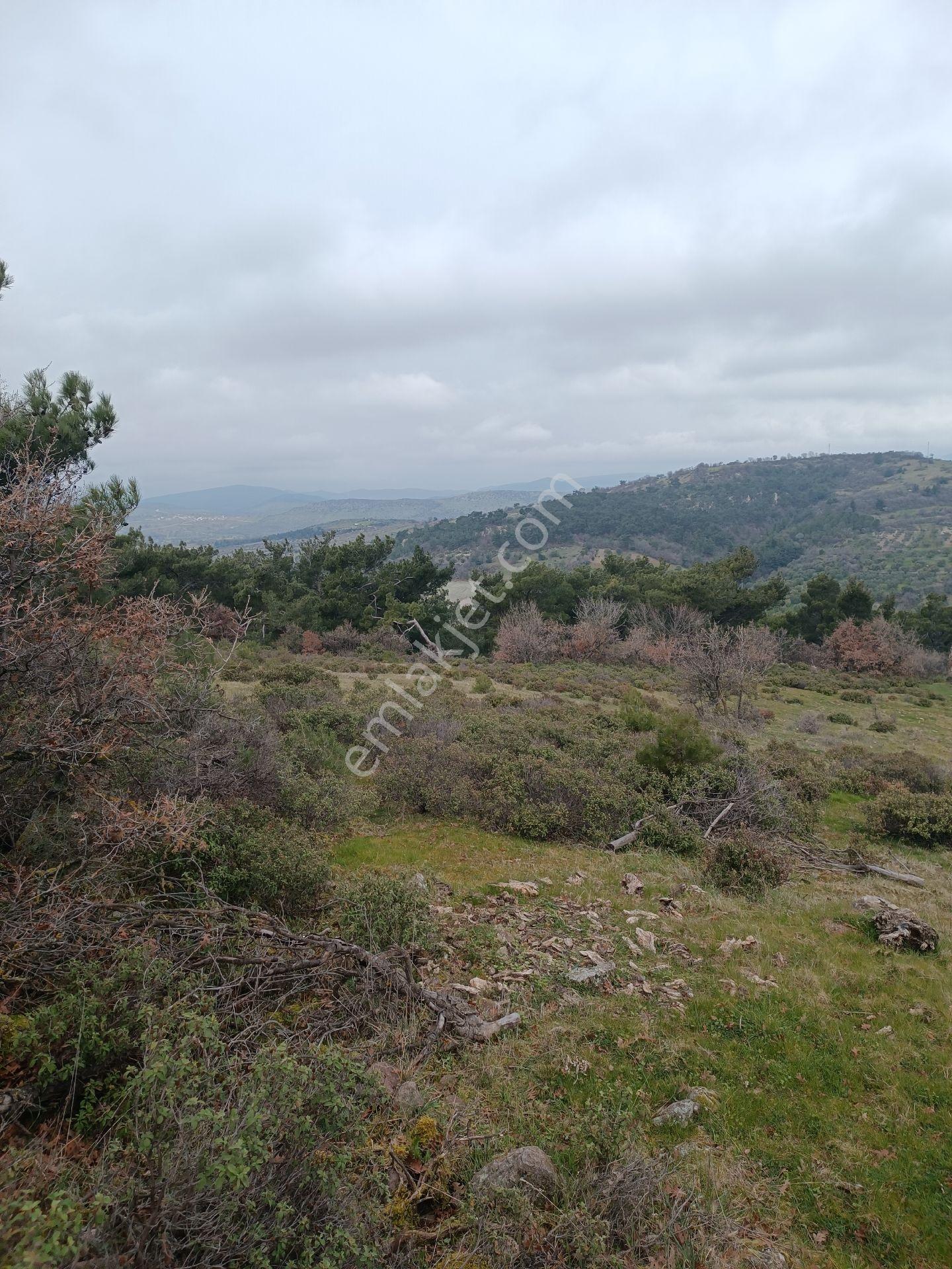 Küçükbelen Mah Satılık 4300m2 Tek Tapu Köye Yakın Boş Arazi - Görsel 8