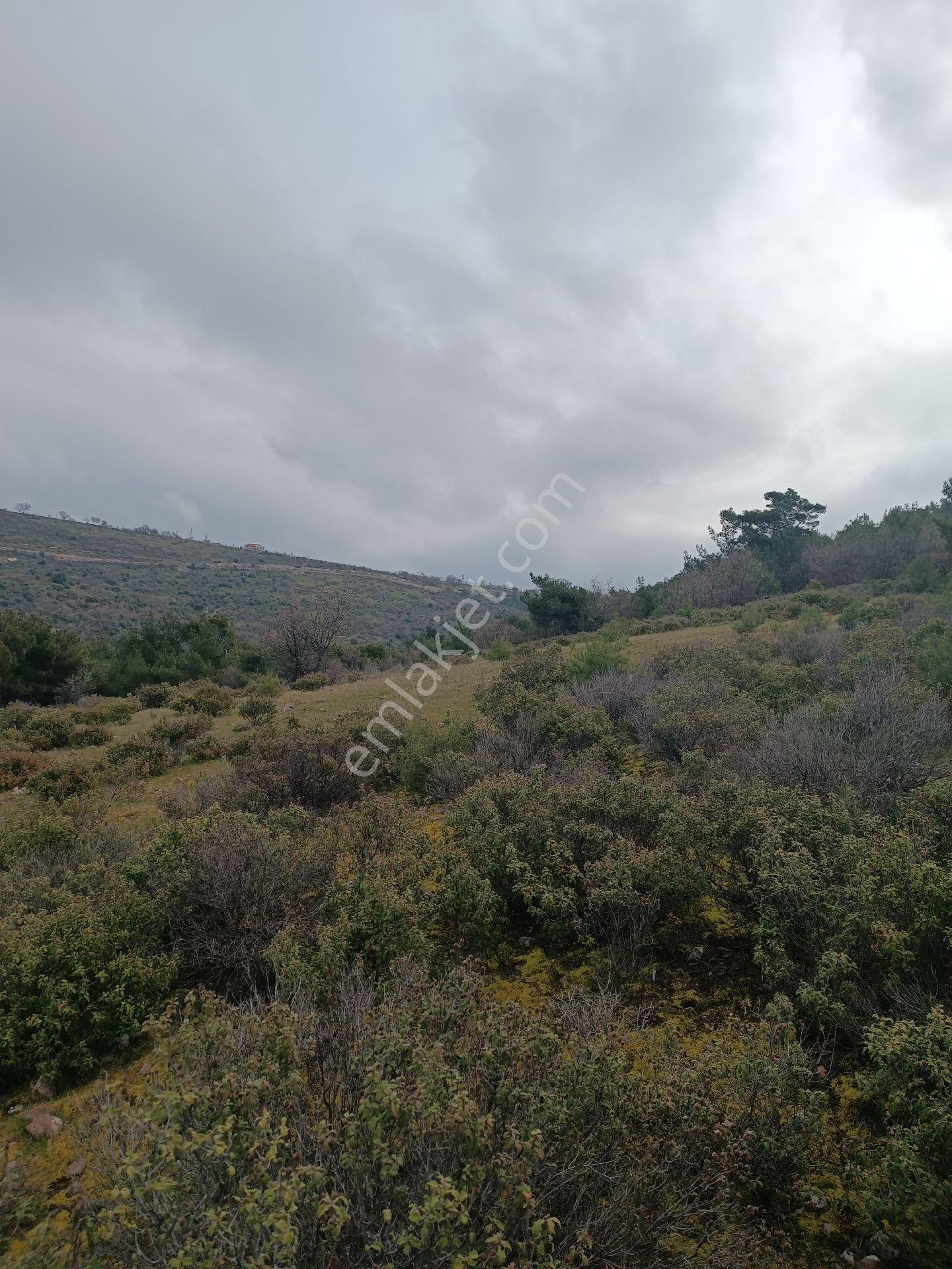 Küçükbelen Mah Satılık 4300m2 Tek Tapu Köye Yakın Boş Arazi - Görsel 17