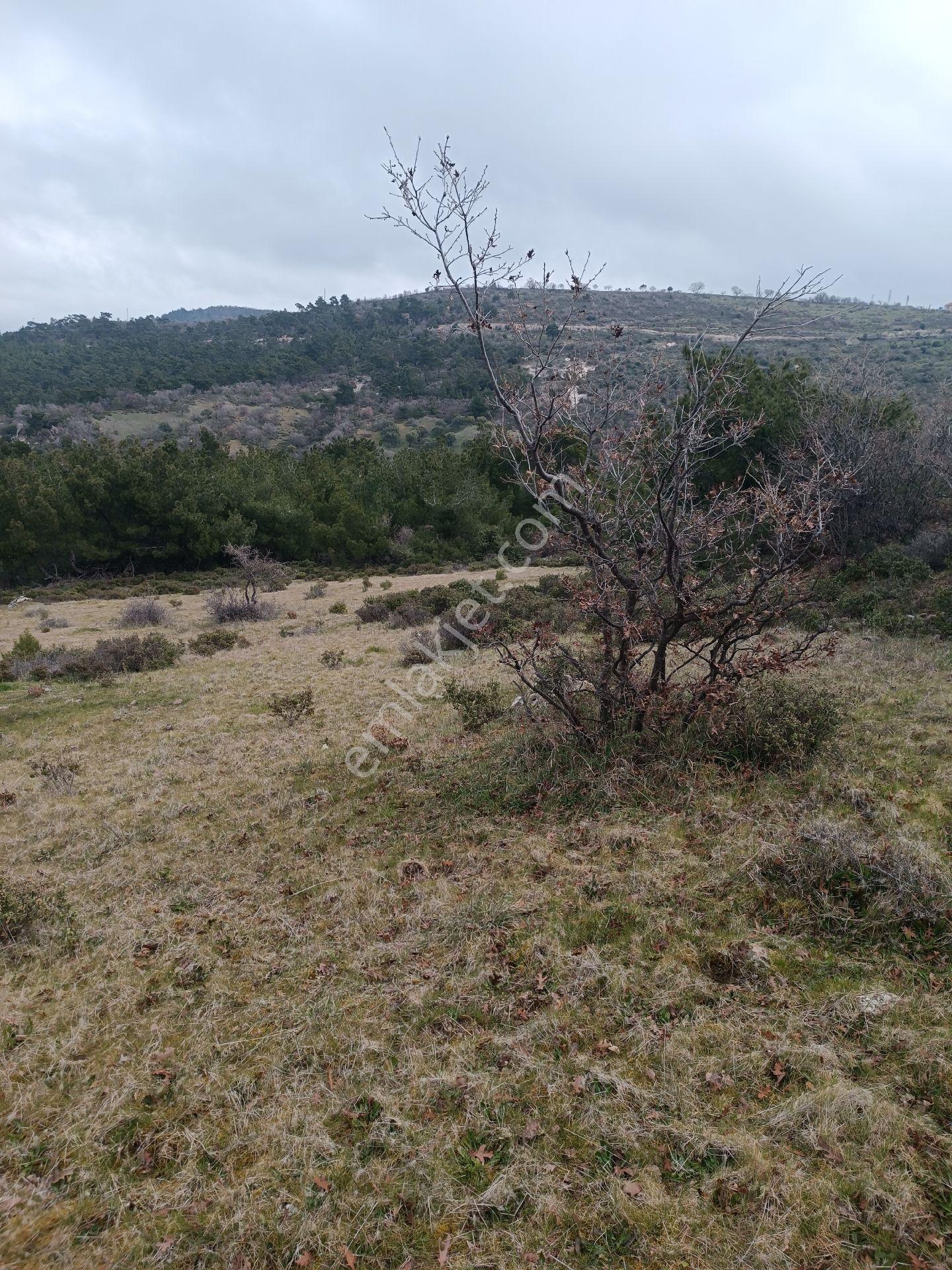 Küçükbelen Mah Satılık 4300m2 Tek Tapu Köye Yakın Boş Arazi - Görsel 14