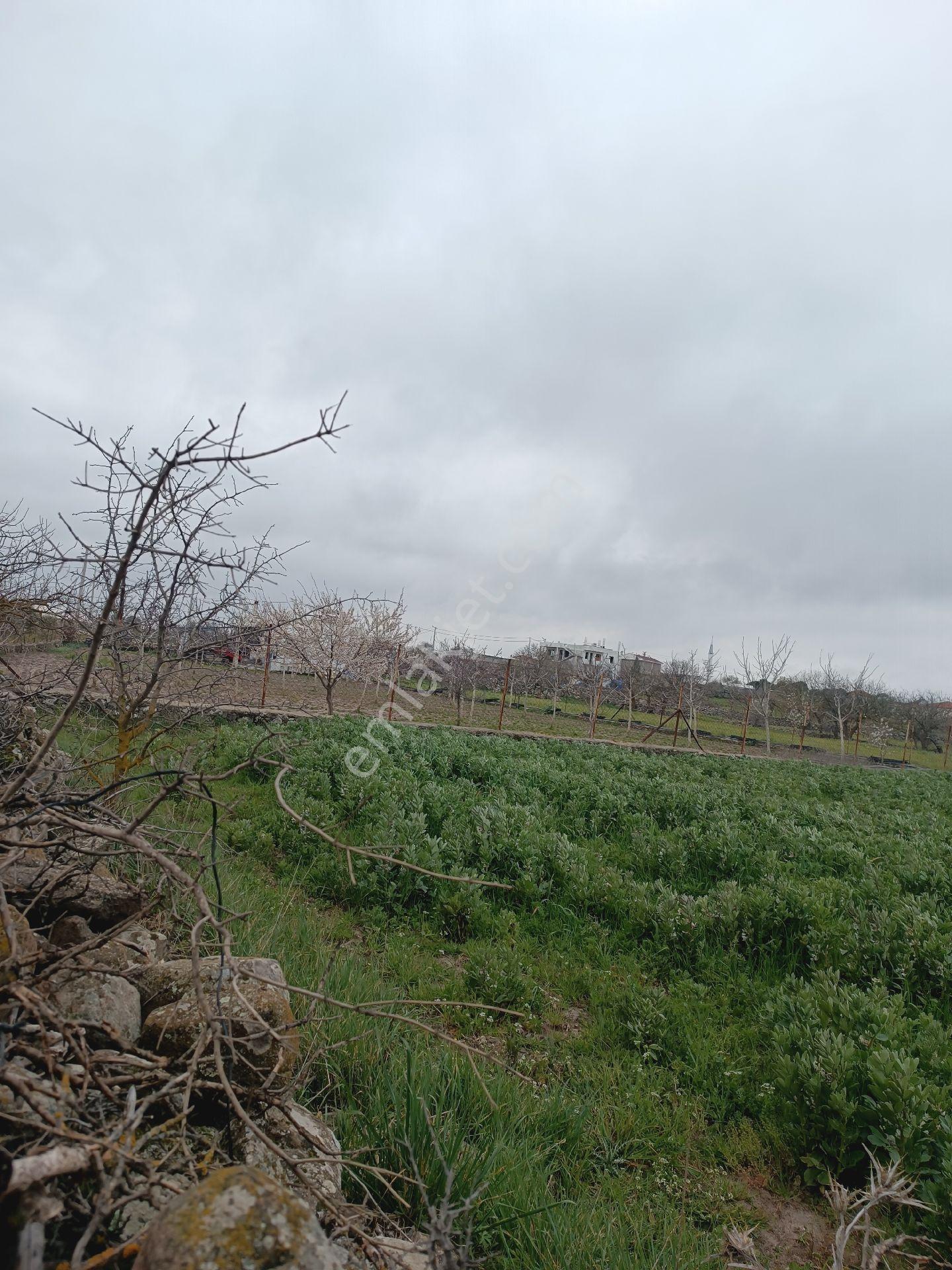 Küçükbelen Mah Satılık Tek Tapu 460m2 Hobi Bahçesi Yolu Var - Görsel 11