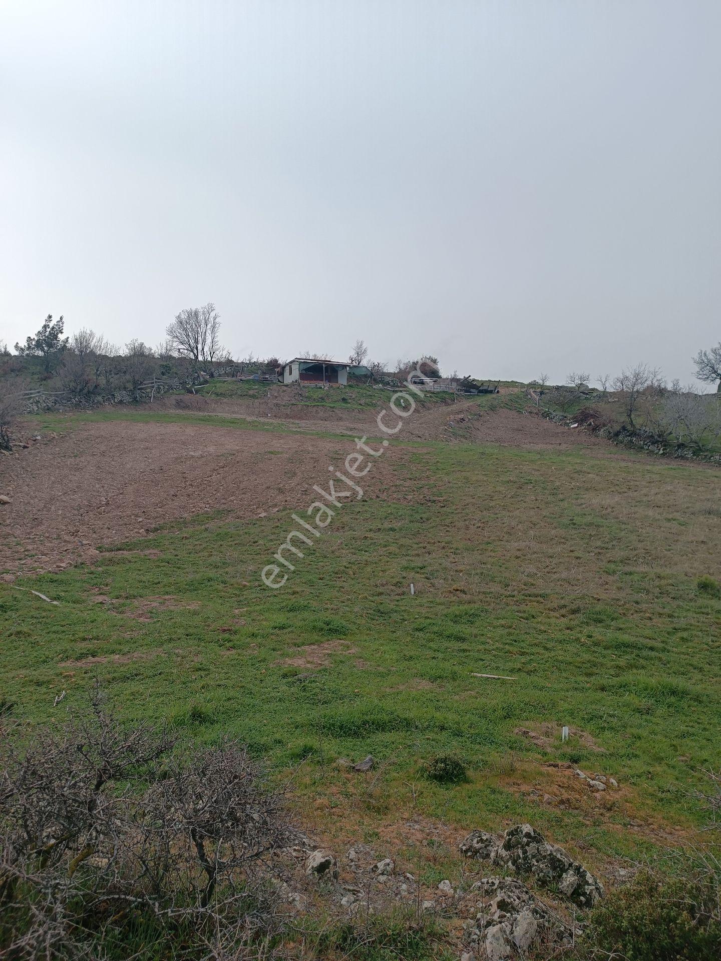Küçükbelen Mah Köy Dibinde 3600m2 Tek Tapu Boş Satılık Arazi - Görsel 12