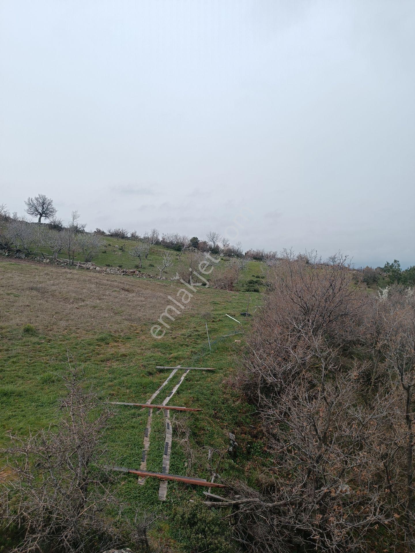 Küçükbelen Mah Köy Dibinde 3600m2 Tek Tapu Boş Satılık Arazi - Görsel 13