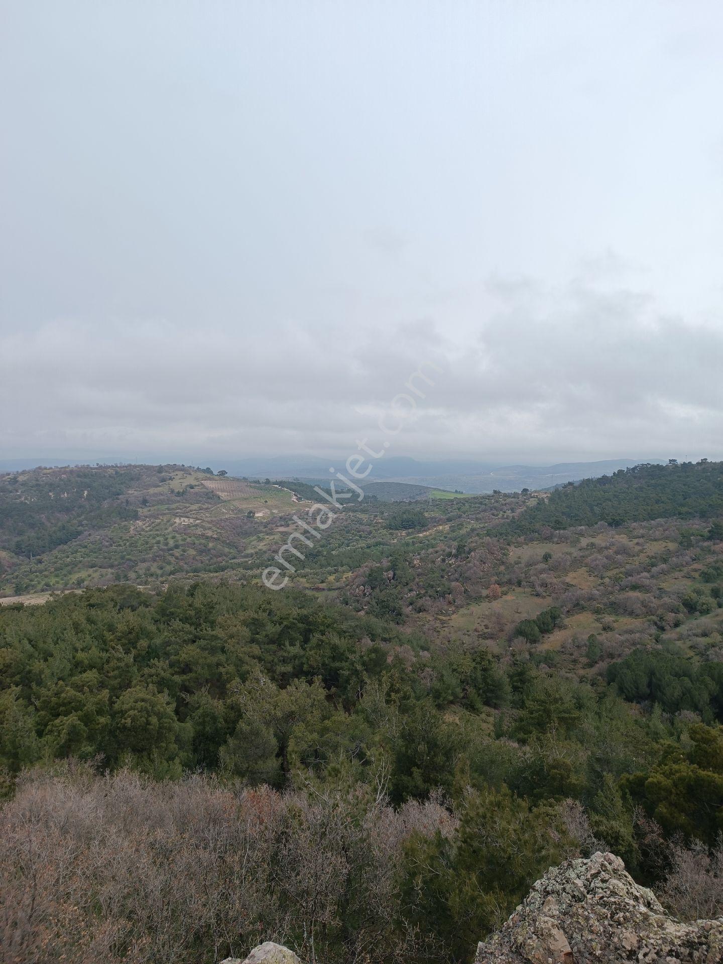 Küçükbelen Mah Köy Dibinde 3600m2 Tek Tapu Boş Satılık Arazi - Görsel 15