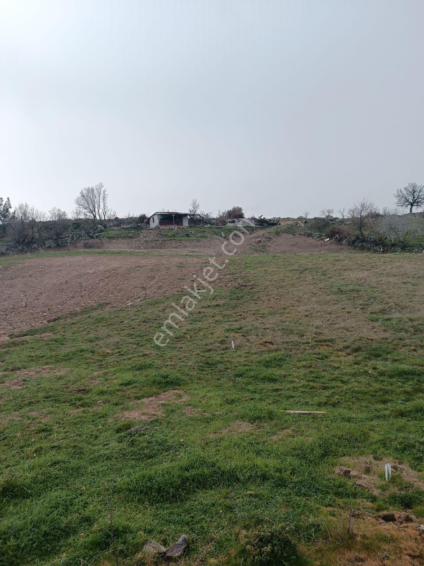 Küçükbelen Mah Köy Dibinde 3600m2 Tek Tapu Boş Satılık Arazi - Görsel 17