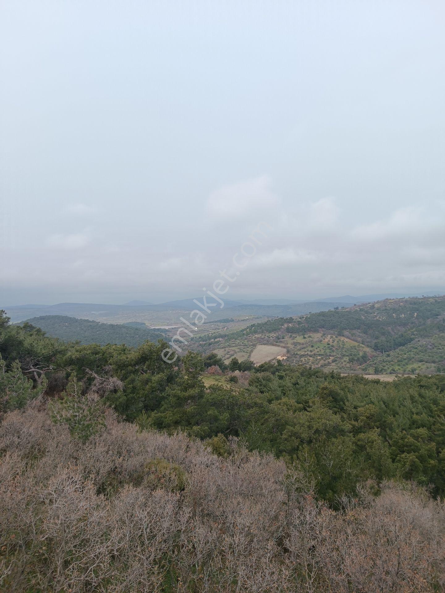Küçükbelen Mah Köy Dibinde 3600m2 Tek Tapu Boş Satılık Arazi - Görsel 14