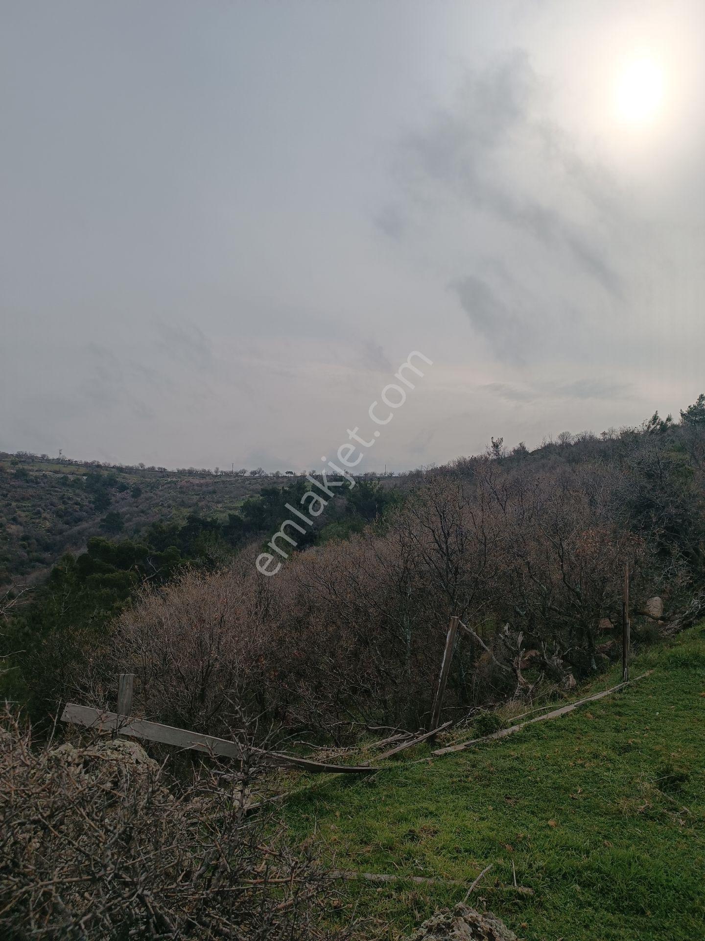 Küçükbelen Mah Köy Dibinde 3600m2 Tek Tapu Boş Satılık Arazi - Görsel 19