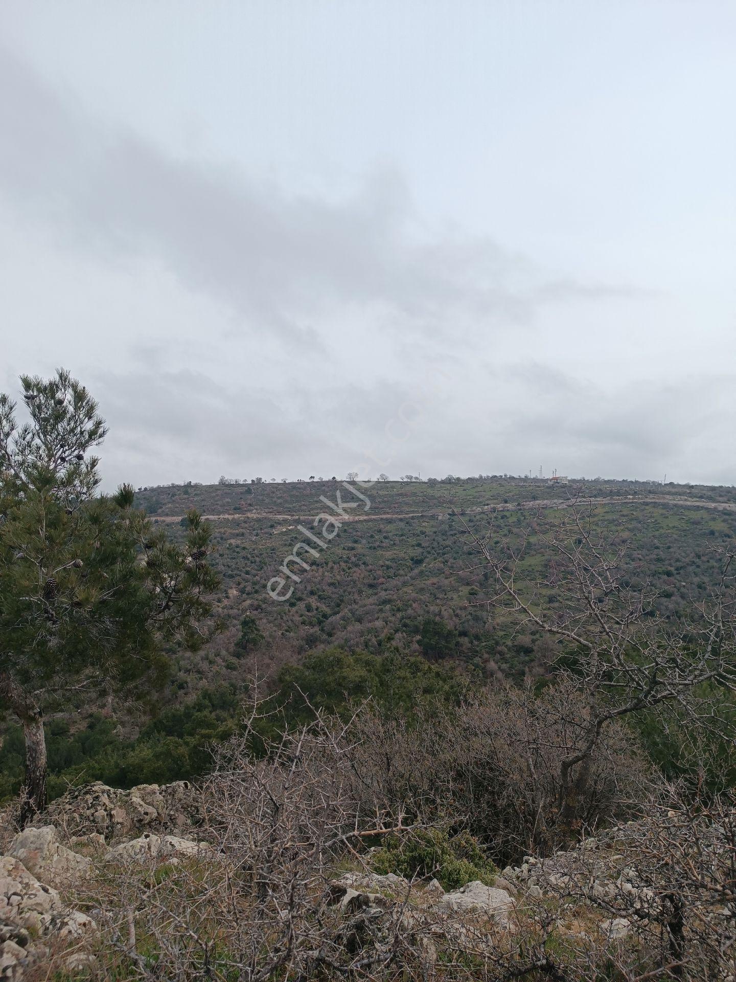 Küçükbelen Mah Köy Dibinde 3600m2 Tek Tapu Boş Satılık Arazi - Görsel 18