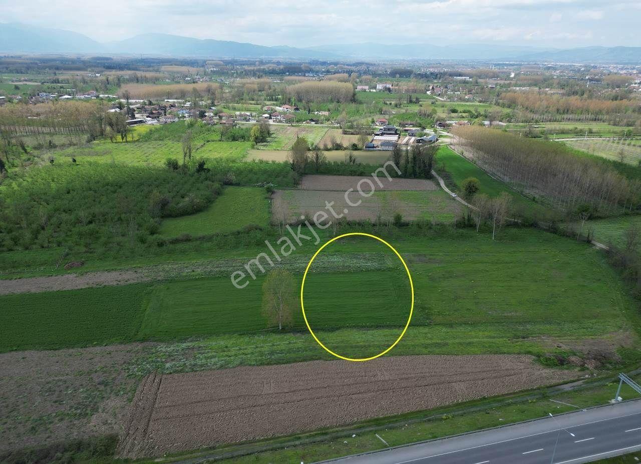 Nv Gayrimenkul'den Darıcı Mahallesi’nde 1094 M2 Satılık Arsa - Görsel 17