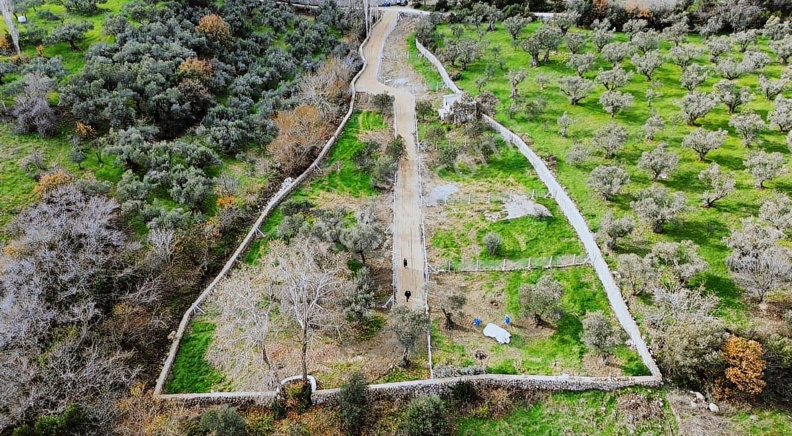 Kemalpaşa Merkez Soğukpınarda Satılık Emsalsiz Fırsat Bahçeler - Görsel 5