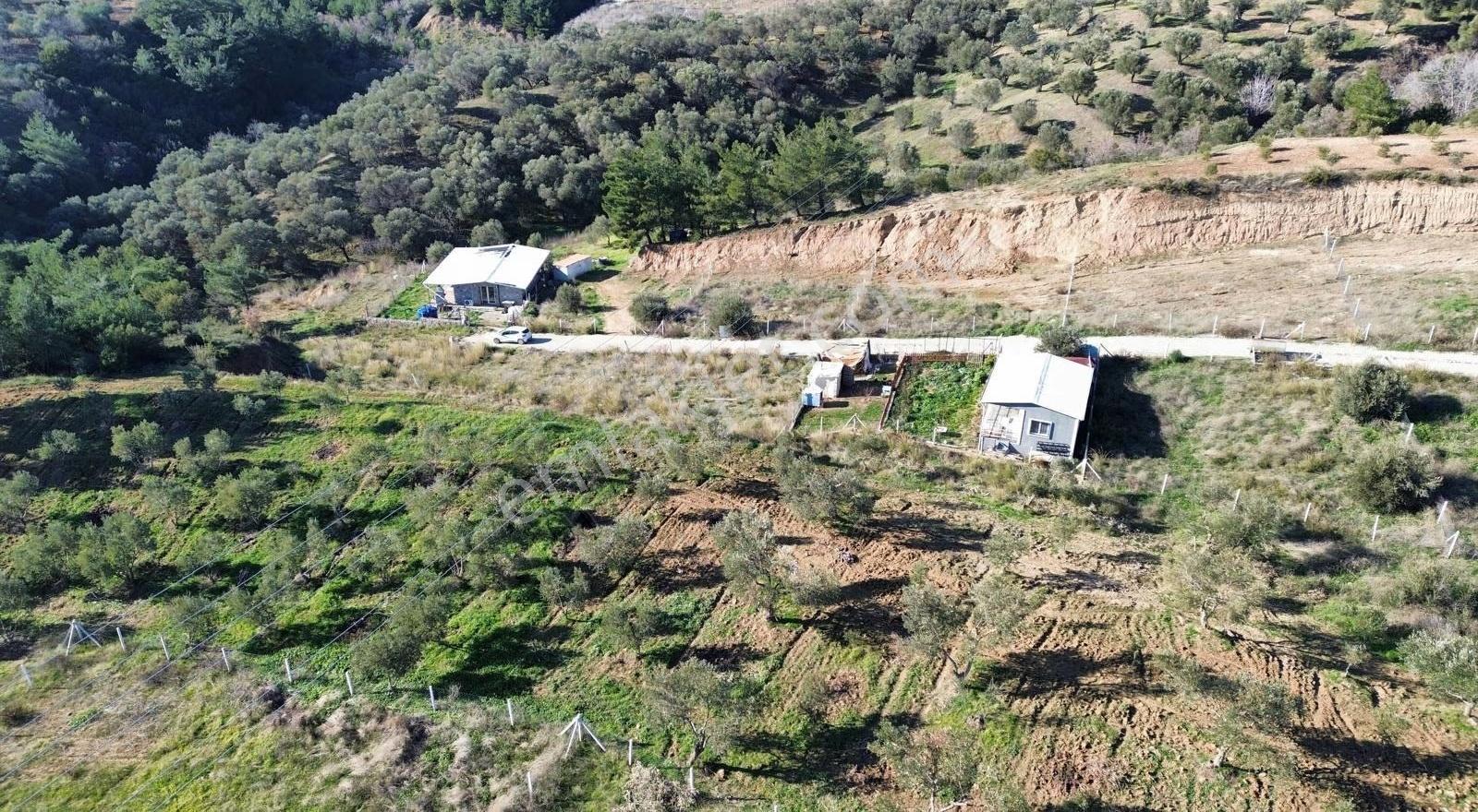 Kemalpaşa Çambelde Muhteşem Konumda Satılık Arsalar - Görsel 11