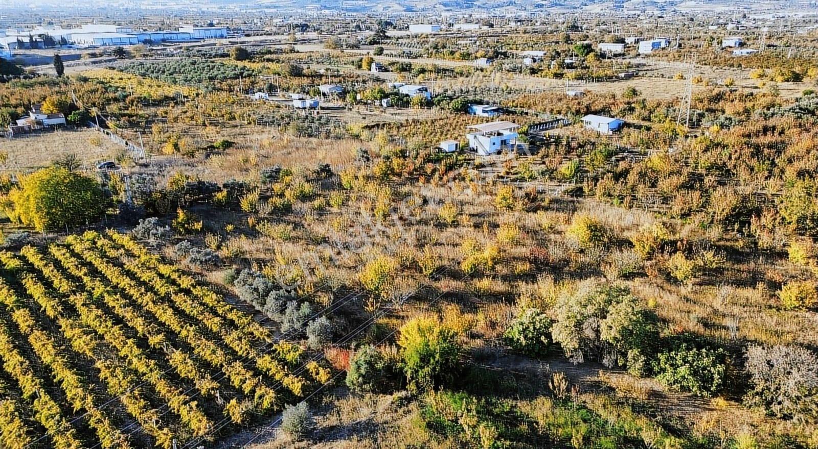 Armutlu Hürriyet Merkeze Yakın Satılık 7.087 M² Müstakil Parsel - Görsel 11