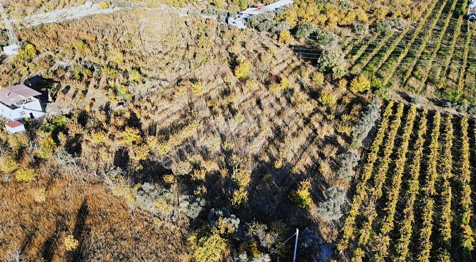Armutlu Hürriyet Merkeze Yakın Satılık 7.087 M² Müstakil Parsel - Görsel 18