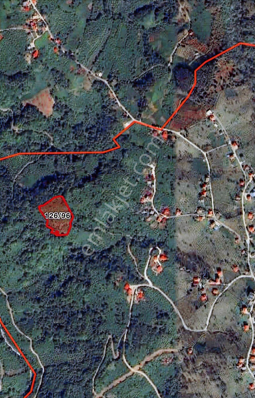 Özgür Emlaktan 7666 M2 Bakımlı Fındıklık - Görsel 12
