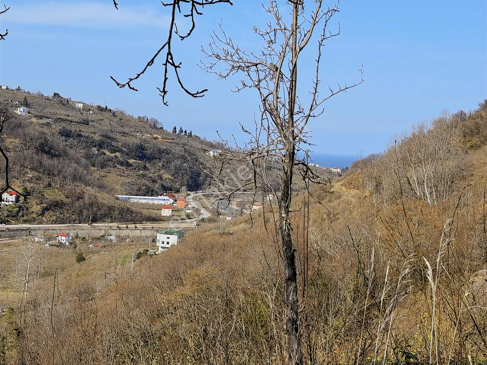 Özgür Emlaktan Satılık 2 Parsel Fındıklık Deniz Manzaralı - Görsel 6