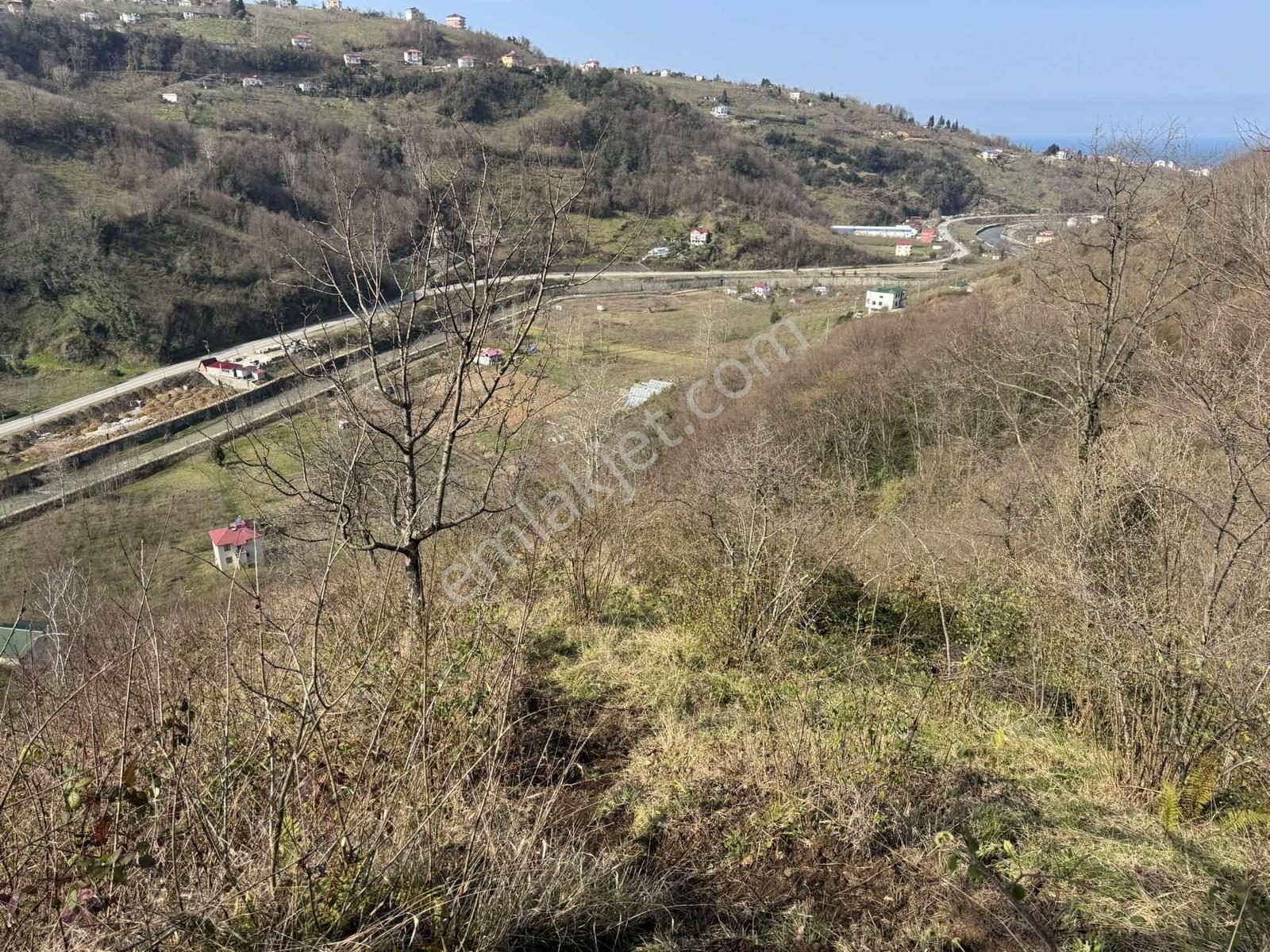 Özgür Emlaktan Satılık 2 Parsel Fındıklık Deniz Manzaralı - Görsel 16