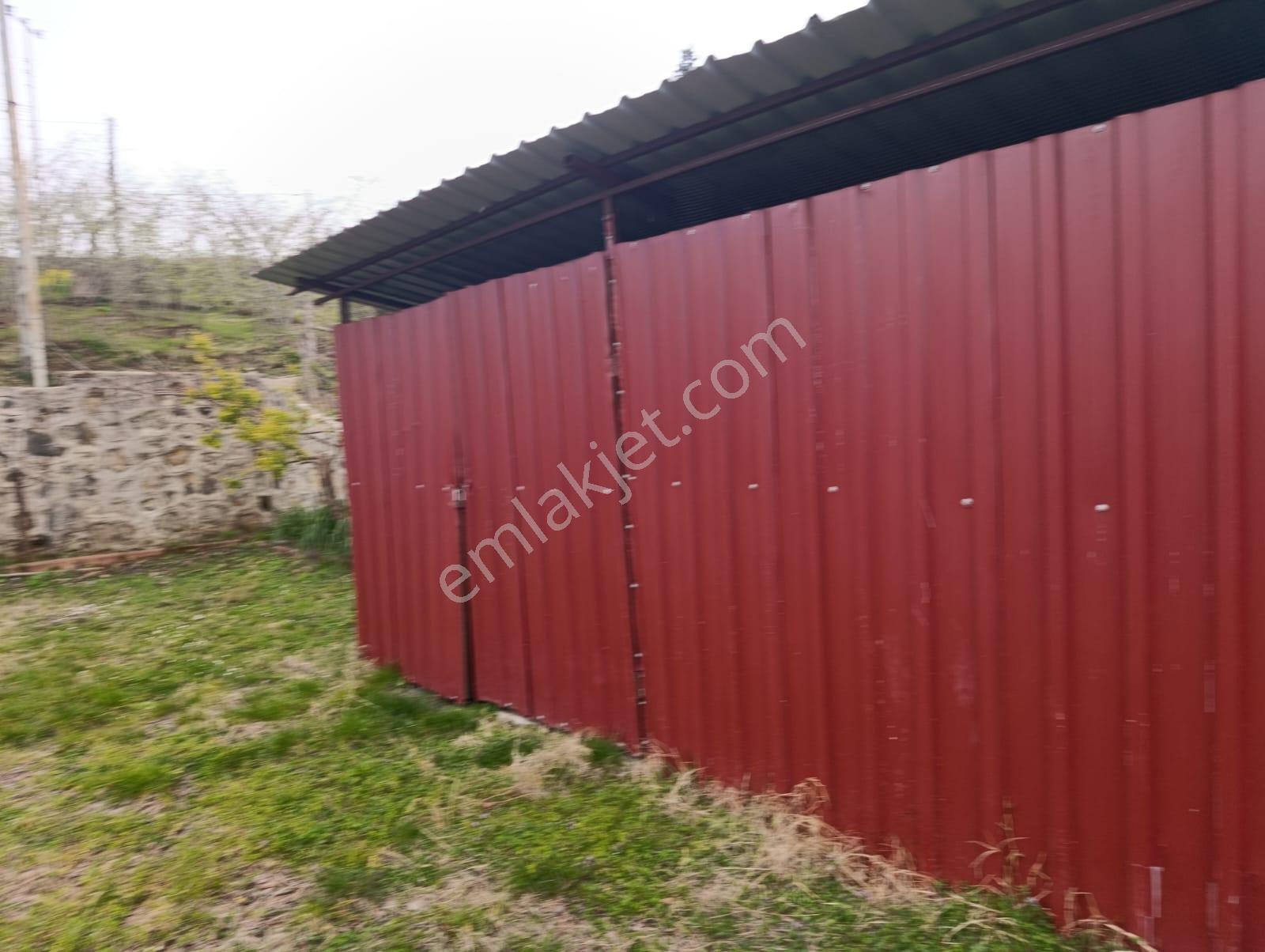 Satılık Ev Ve Arazi Fatsa Kılıçlı - Görsel 15