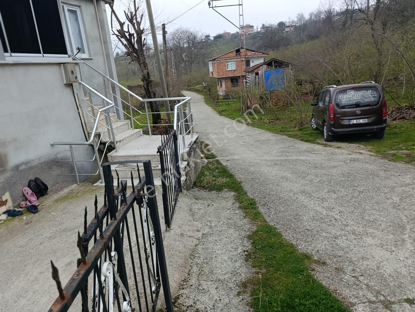 Satılık Ev Ve Arazi Fatsa Kılıçlı - Görsel 3