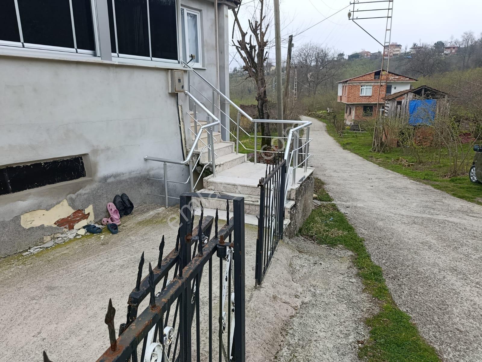 Satılık Ev Ve Arazi Fatsa Kılıçlı - Görsel 2
