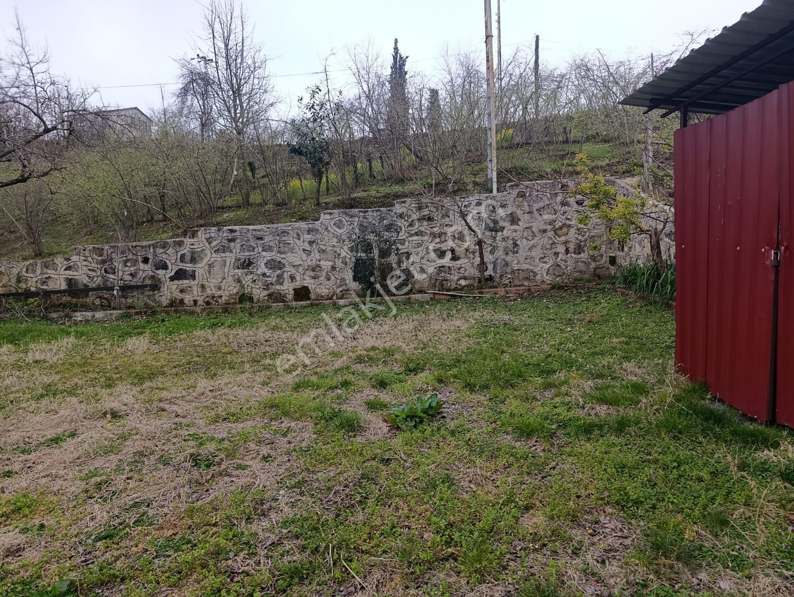 Satılık Ev Ve Arazi Fatsa Kılıçlı - Görsel 17