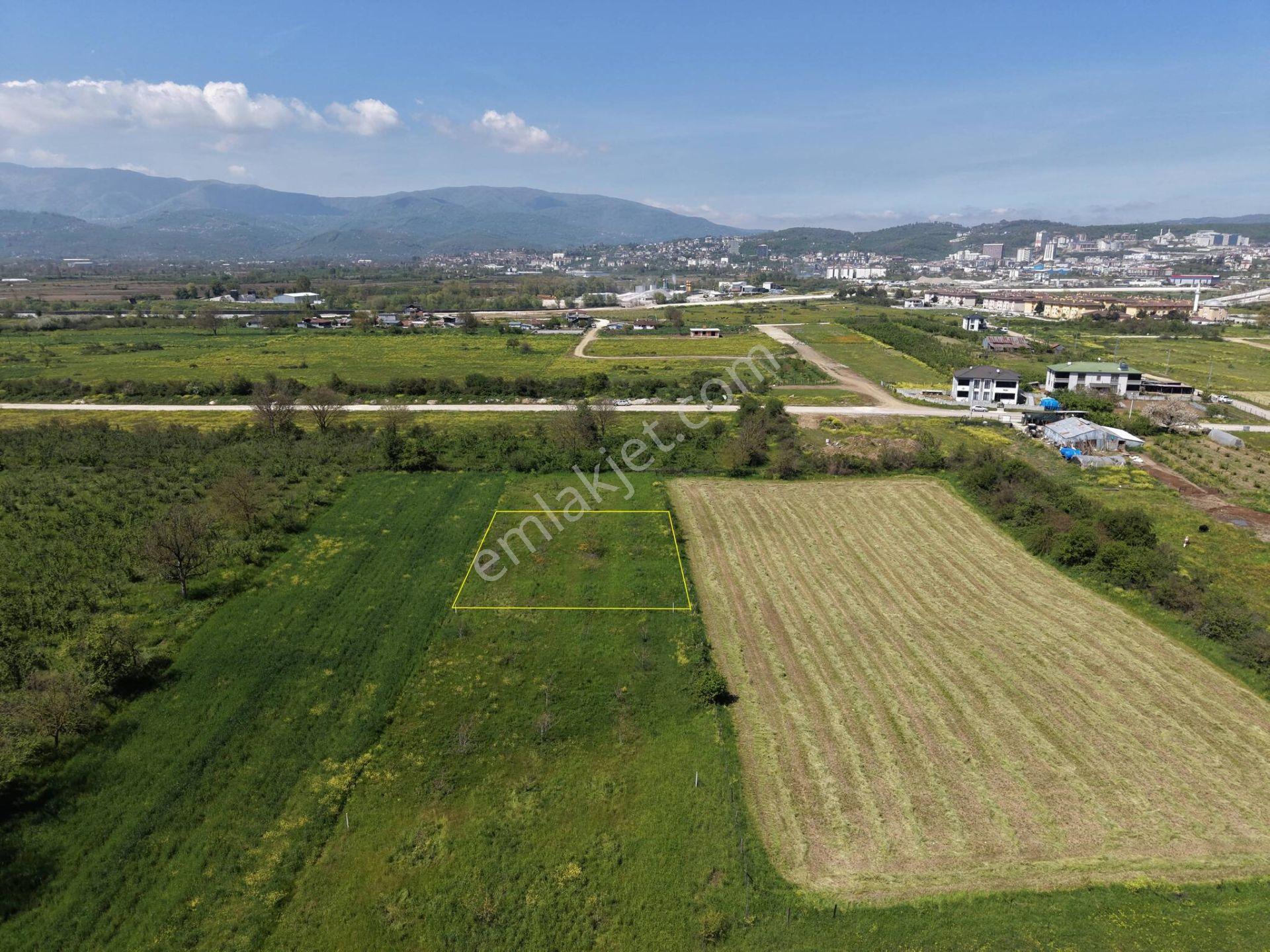 Çamköy-arapçiftliği Sınırında Satılık 673 M² Arsa - Görsel 3