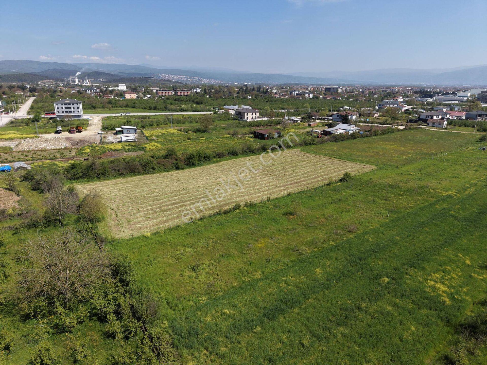 Çamköy-arapçiftliği Sınırında Satılık 673 M² Arsa - Görsel 15
