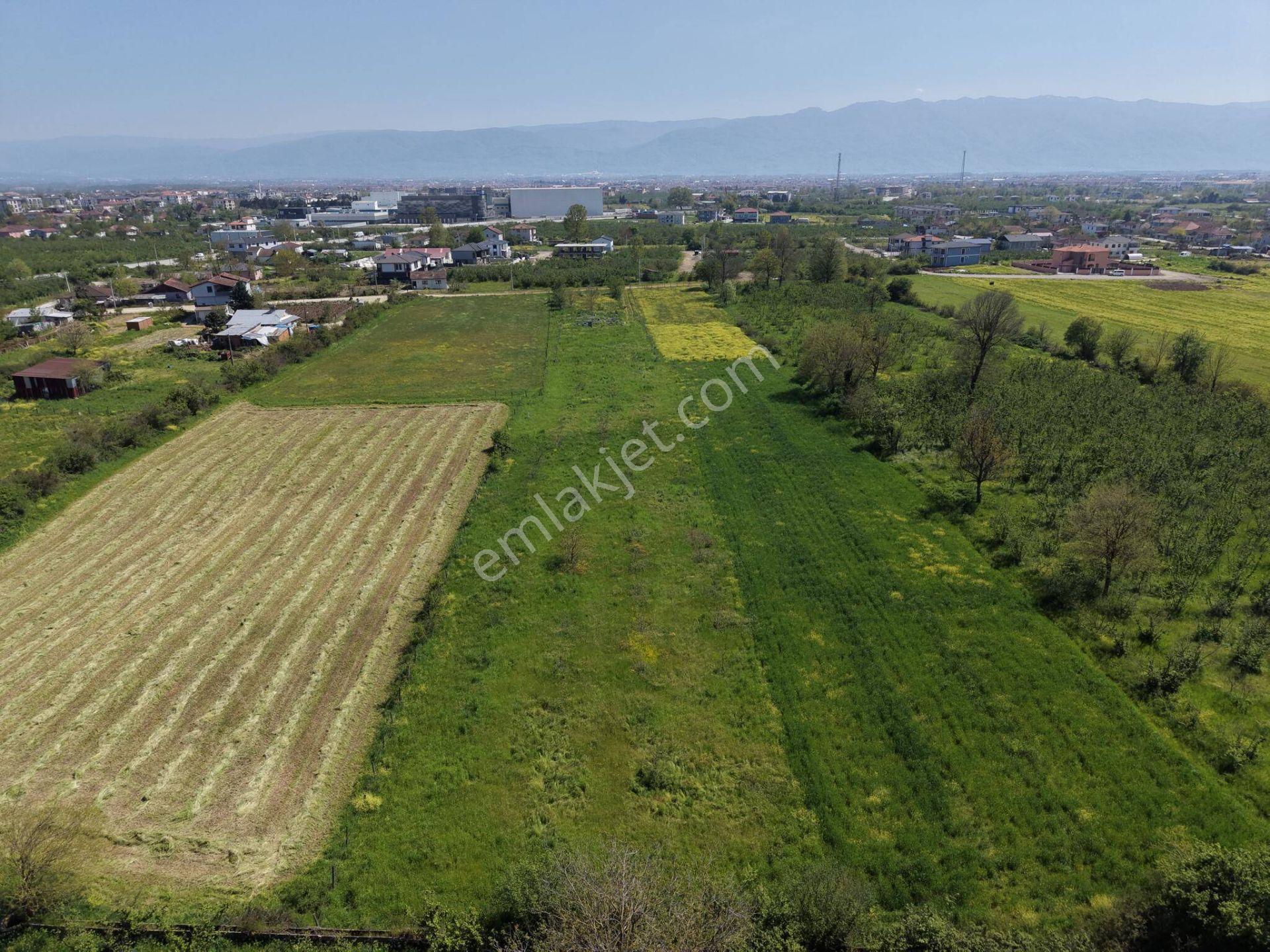 Çamköy-arapçiftliği Sınırında Satılık 673 M² Arsa - Görsel 14