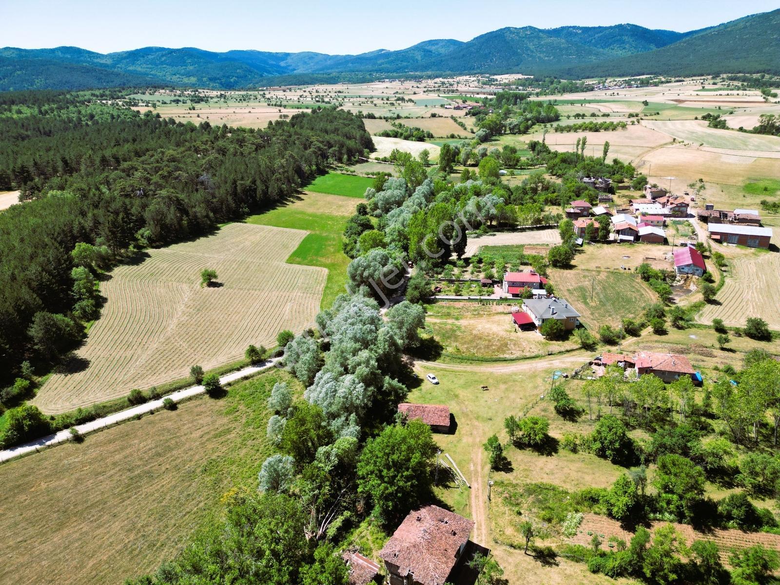 Garanti Emlak'tan - 1.074 M² - Doğa Harikası - İmarlı Arsa - - Görsel 32