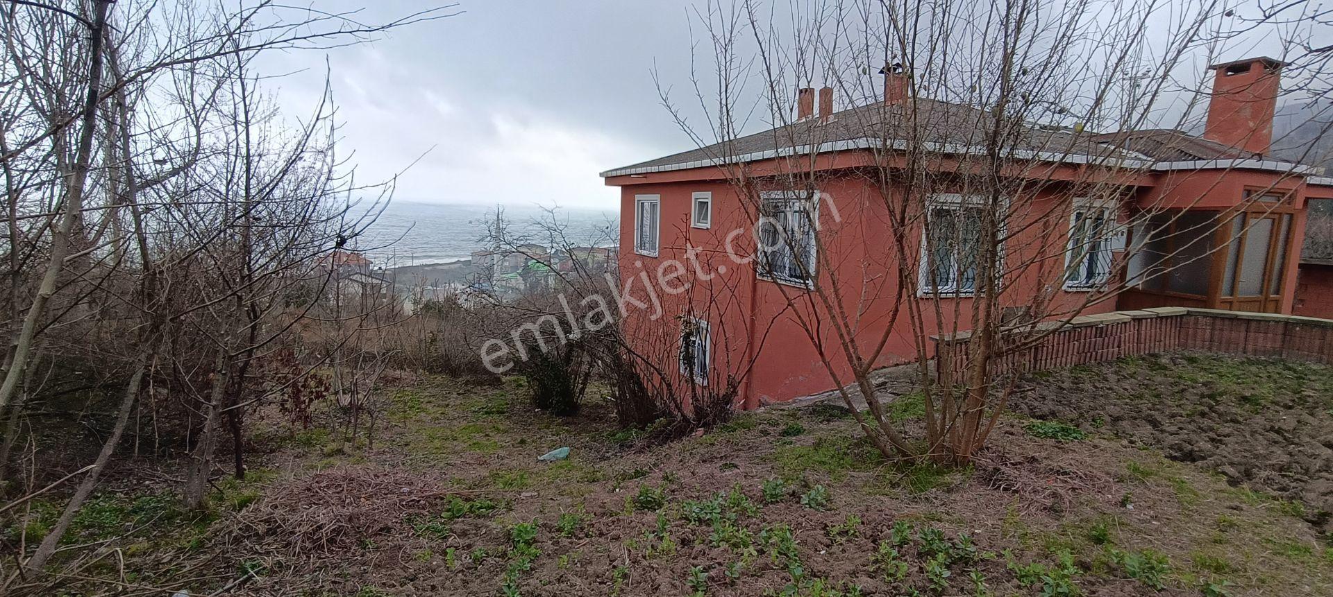 Deniz Manzaralı Müstakil Ev Ve Bahçesi (kastamonu Cide Gebeş Mahallesinde) - Görsel 19