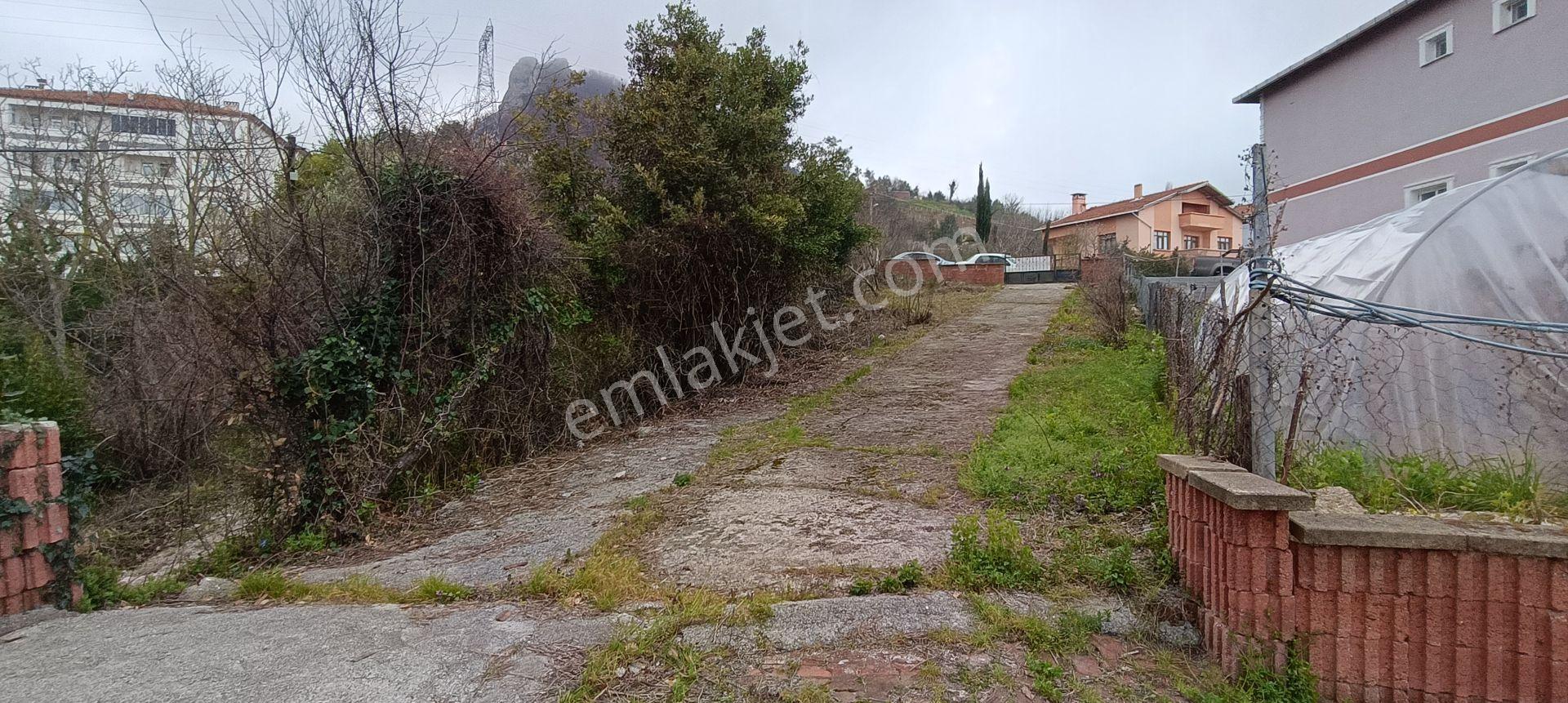Deniz Manzaralı Müstakil Ev Ve Bahçesi (kastamonu Cide Gebeş Mahallesinde) - Görsel 31