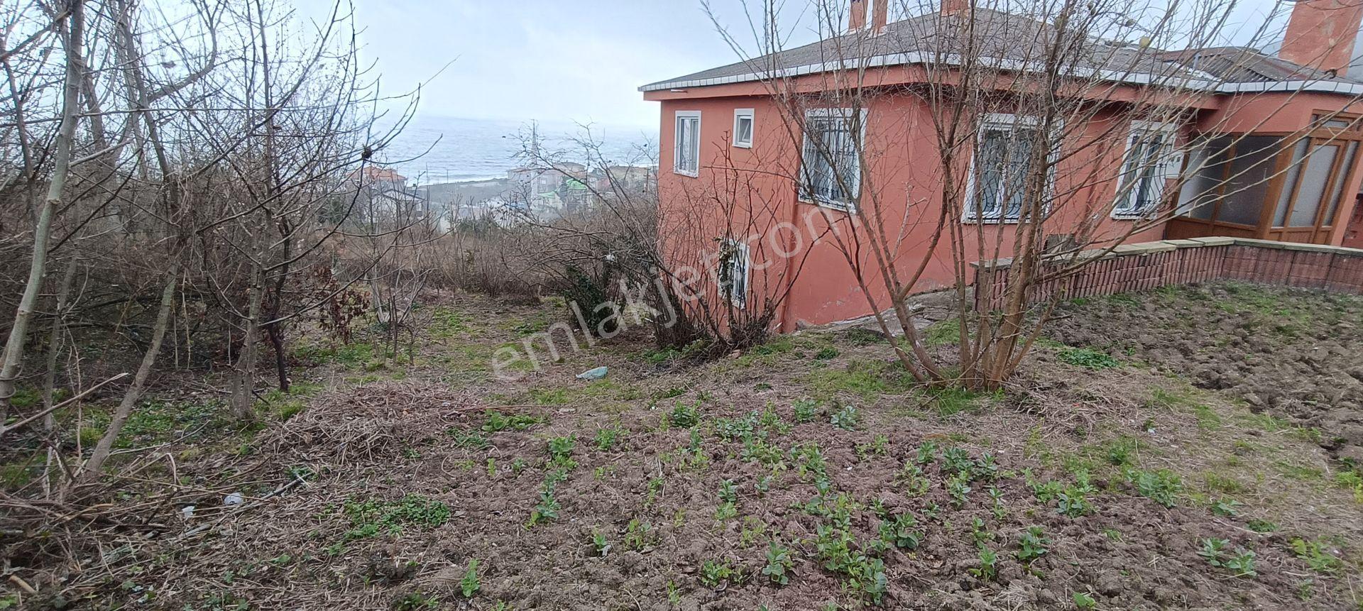 Deniz Manzaralı Müstakil Ev Ve Bahçesi (kastamonu Cide Gebeş Mahallesinde) - Görsel 21