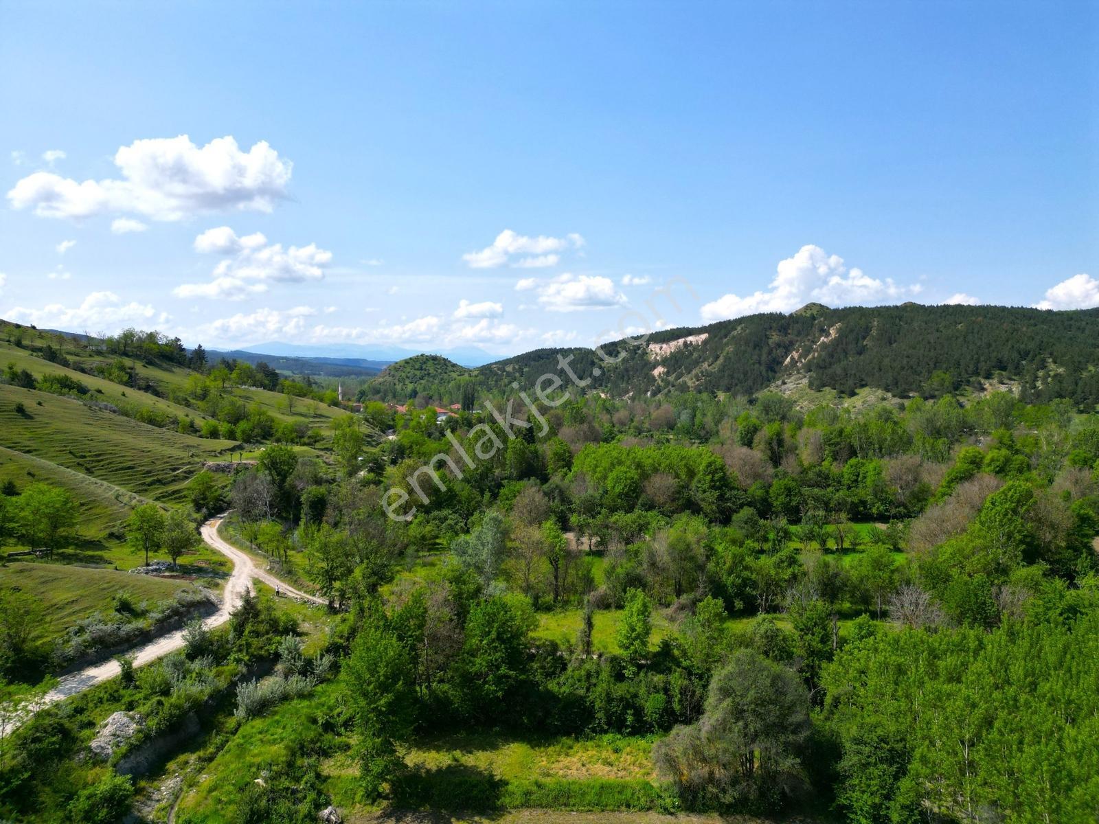 Garanti Emlak'tan, Merkeze 10 Km, Köye 300 Metre, 636 M² Bahçe - Görsel 21