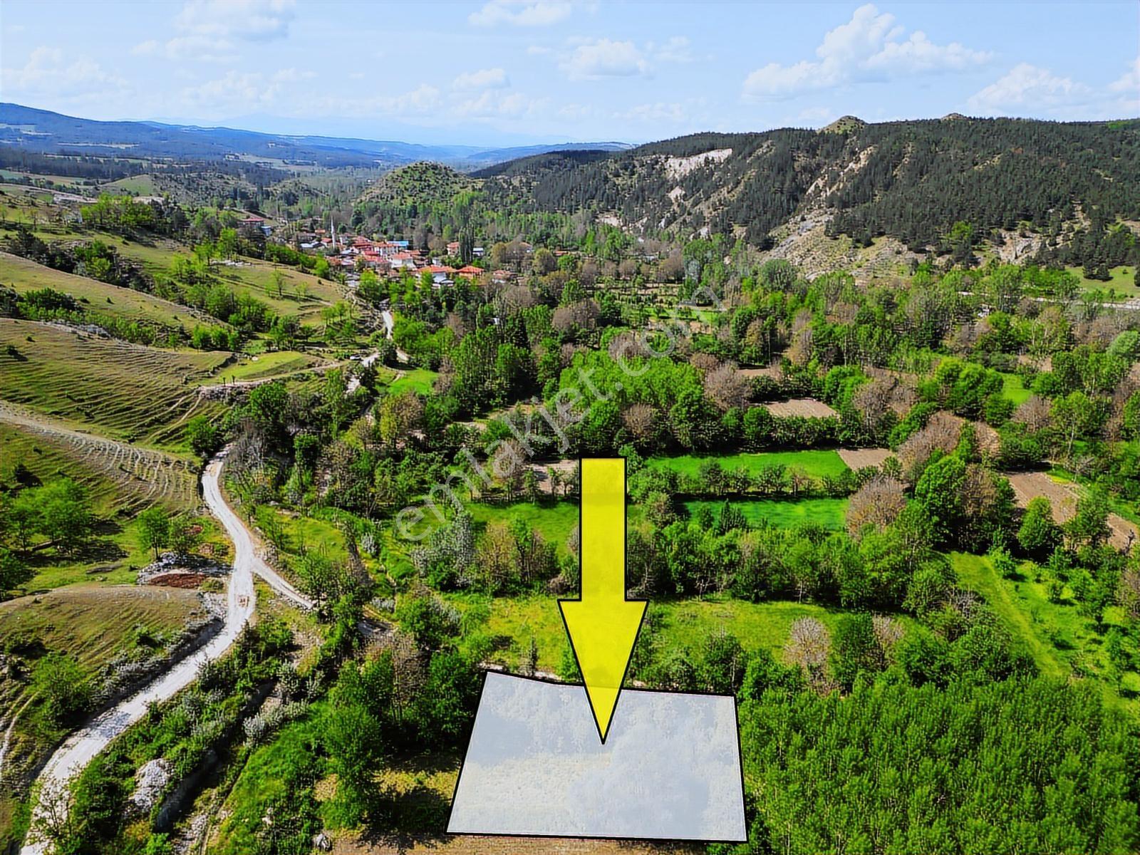 Garanti Emlak'tan, Merkeze 10 Km, Köye 300 Metre, 636 M² Bahçe - Görsel 5