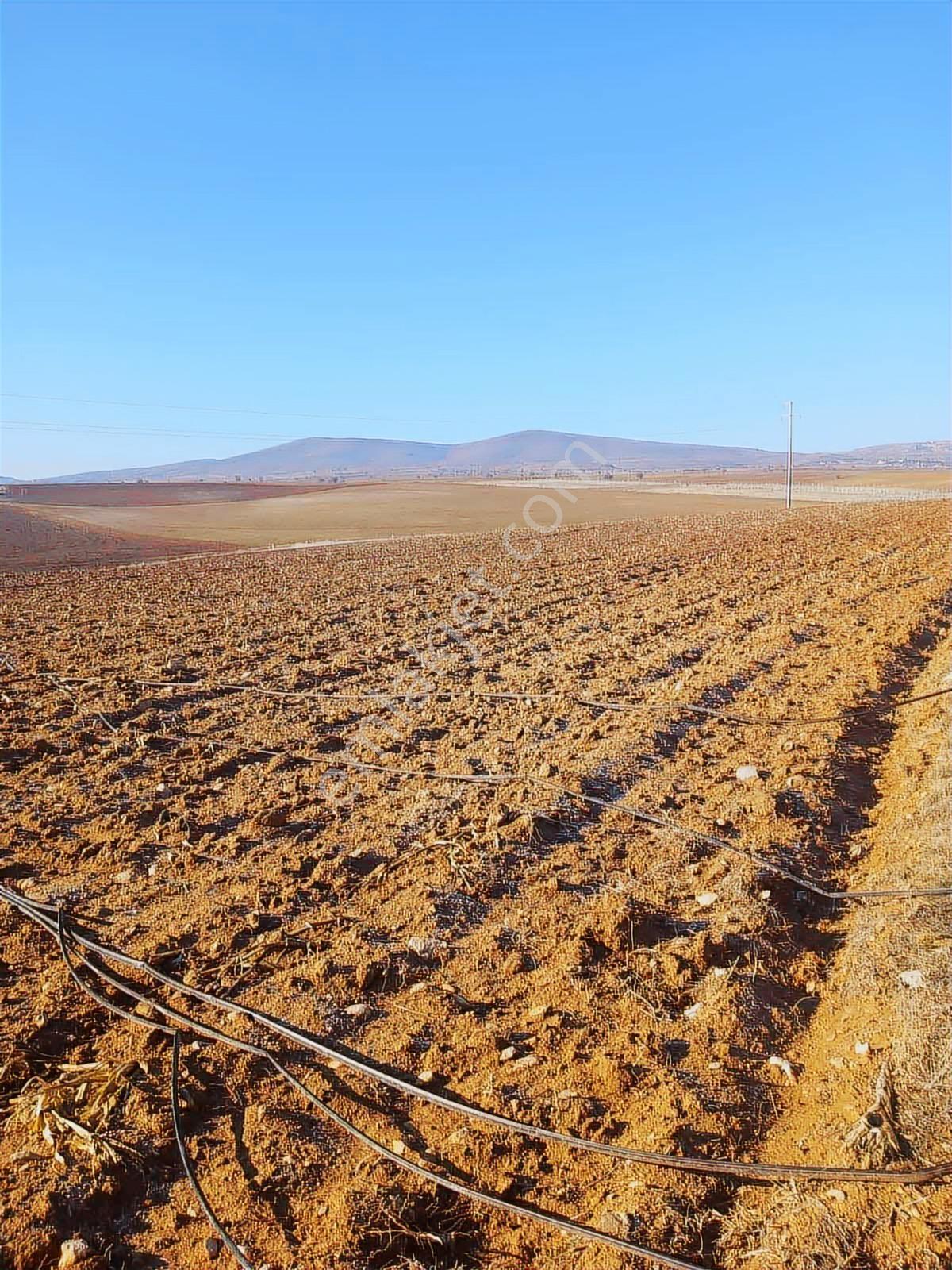 Şems'ten Meram Boyalıda 12.408m2 Tarla