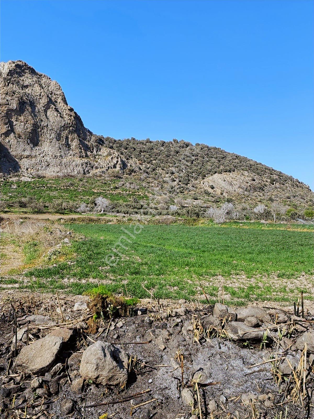 Bergama Süleymanlı'da Satılık 3.069 M2 Arazi/ Tarla - Görsel 11