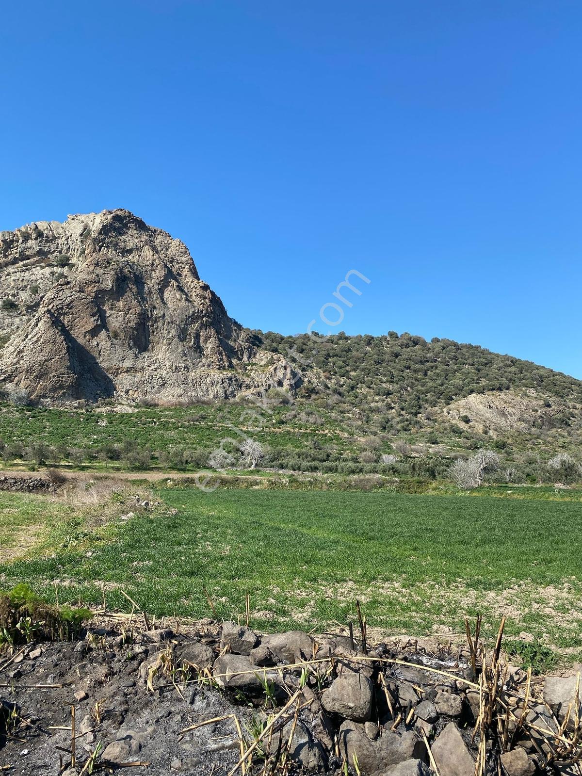 Bergama Süleymanlı'da Satılık 3.069 M2 Arazi/ Tarla - Görsel 10